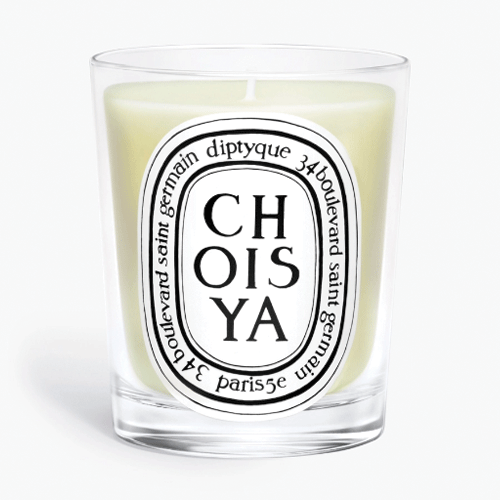 CHOISYA CANDELA PROFUMATA