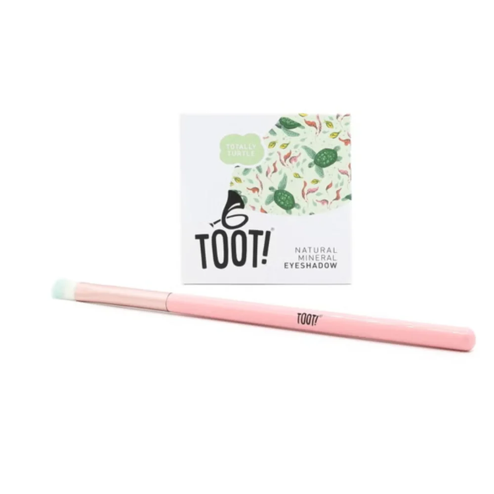 Toot! Totally Turtle Box Set ombretti