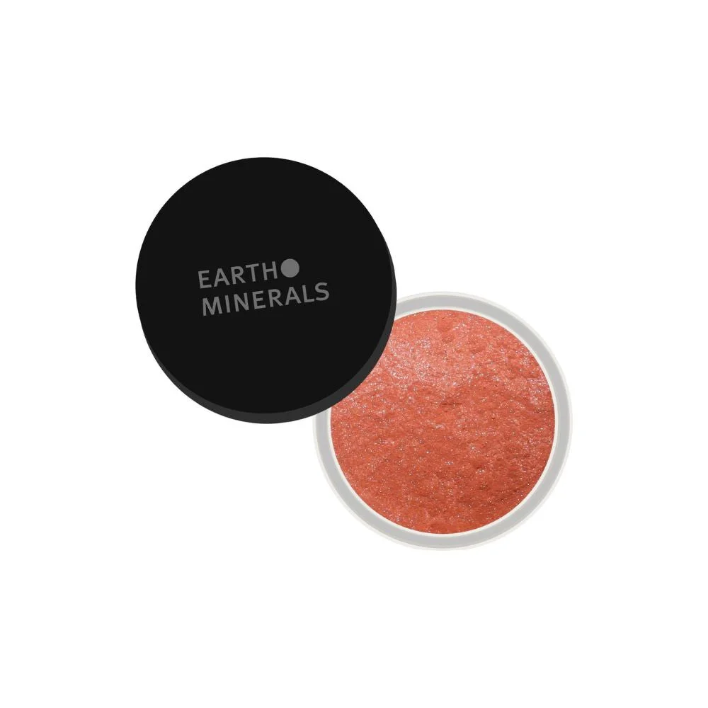 Provida organics Luminous Shimmer Blush, Ruby Rose (4 g)