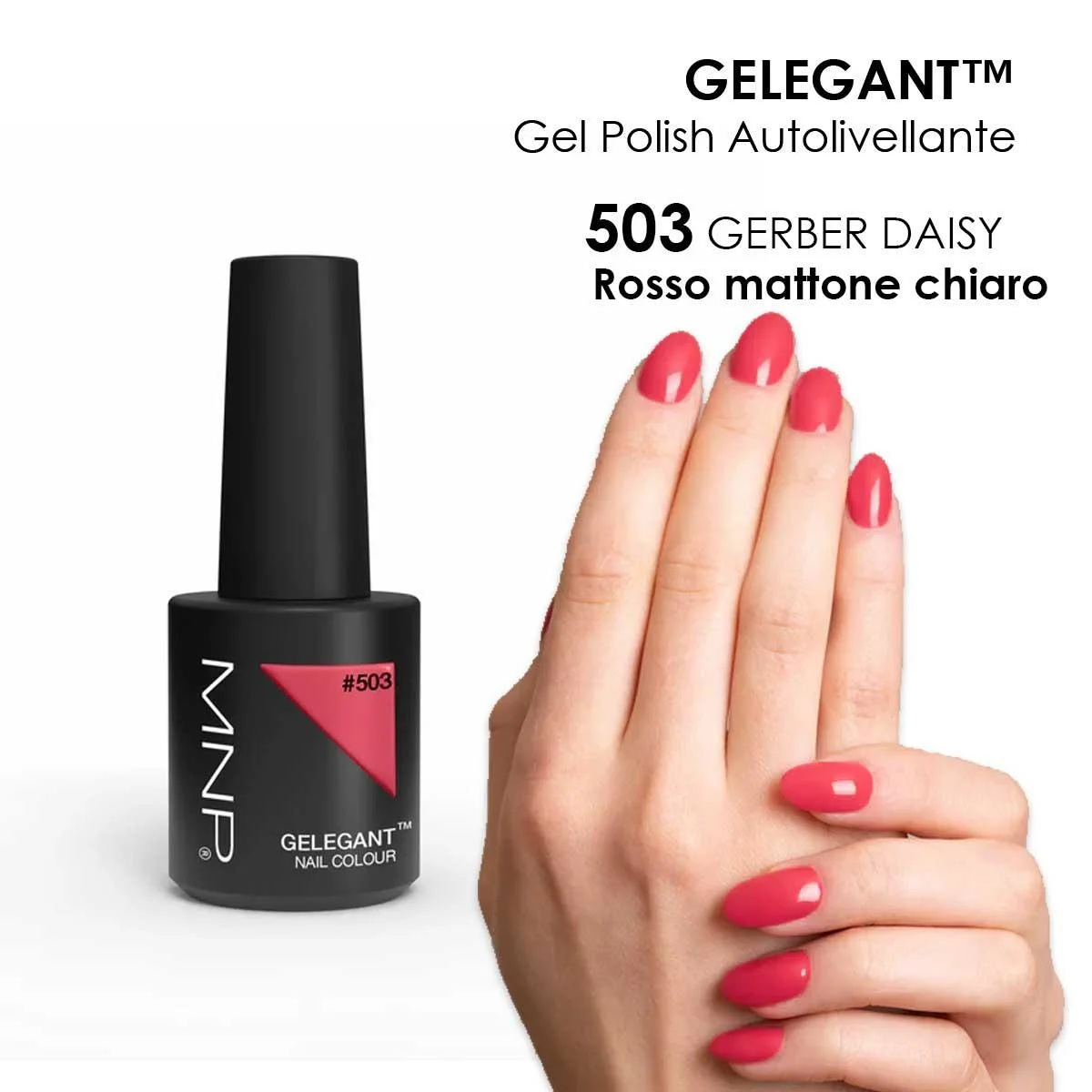 MNP MESAUDA GELEGANT Smalto in gel 8ml 503 Gerber Daisy
