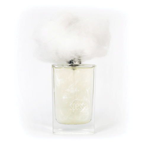 NEBBIA SPESSA