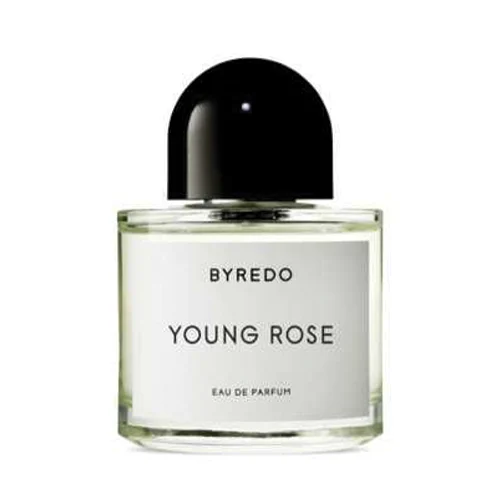 YOUNG ROSE