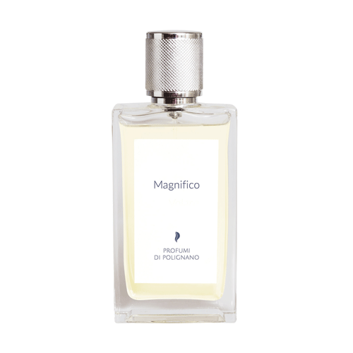 MAGNIFICO