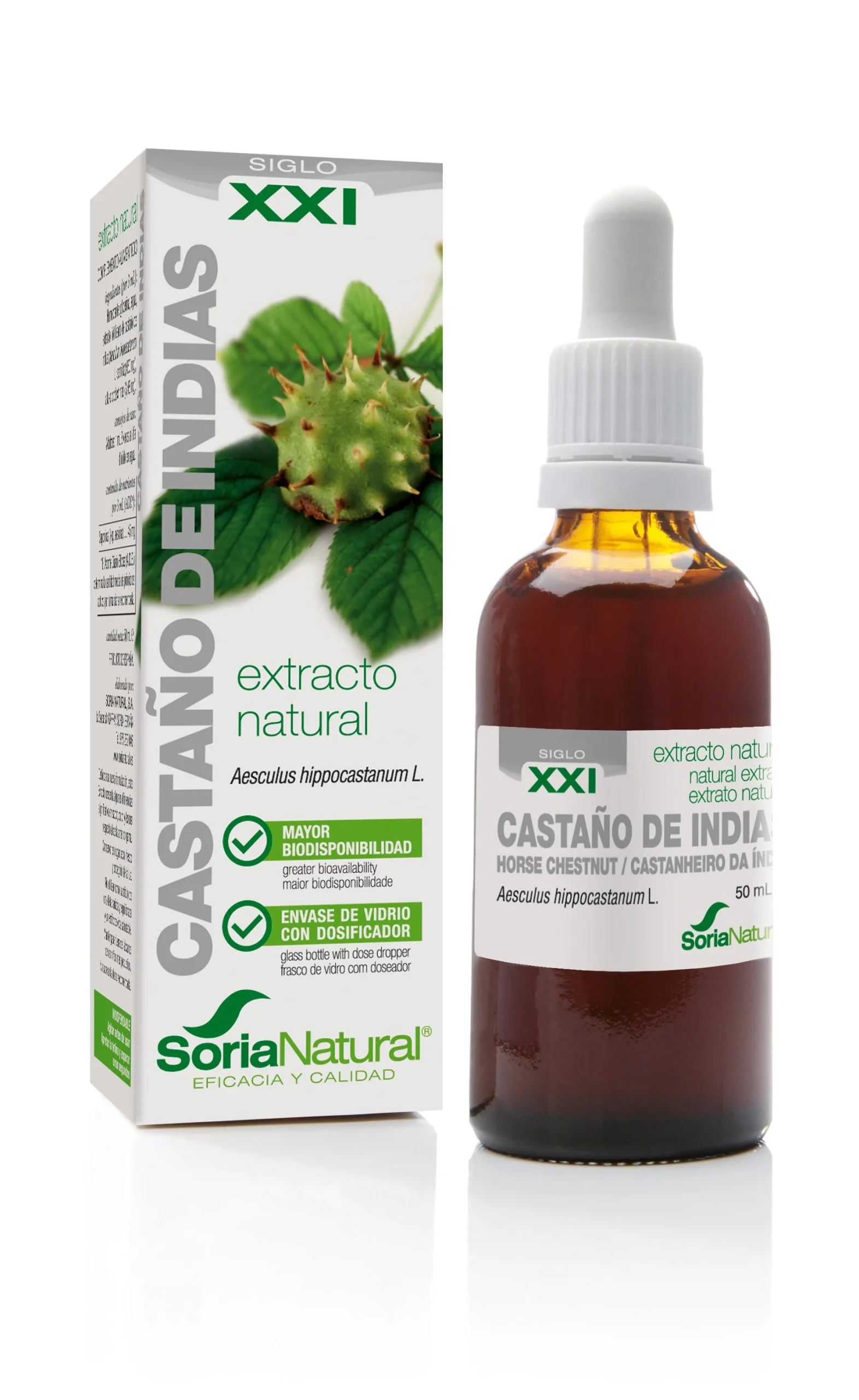 Stratto di Soria De Castagno Cavallo S Xxi