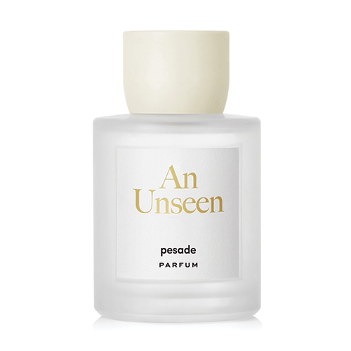 AN UNSEEN
