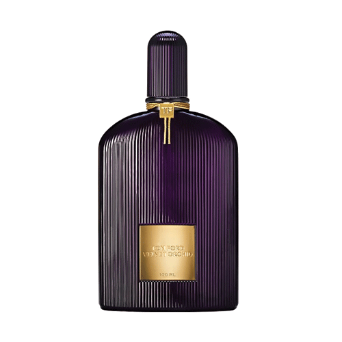 VELVET ORCHID