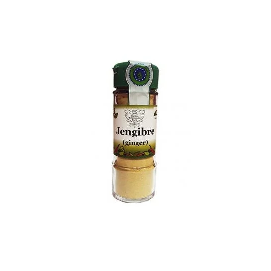 Biocop Zenzero condimento in polvere Bio 30g