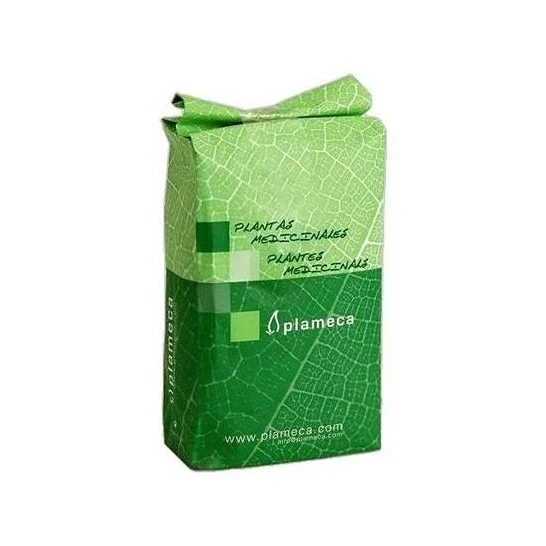 Plameca Semi di Lino Interi Semi d'Oro 1 kg