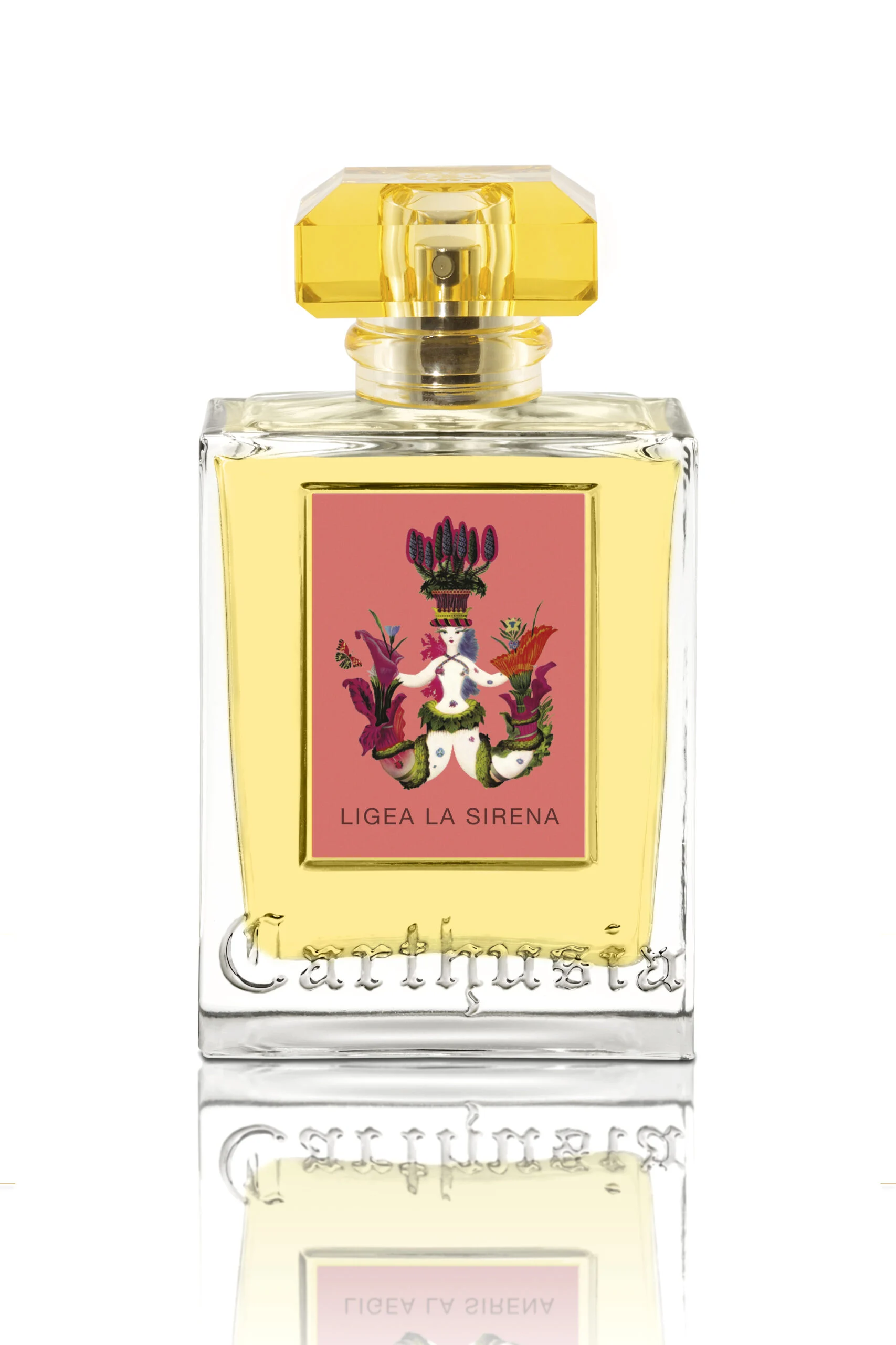 LIGEA 100ml