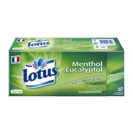 Lotus Mouch Mentolo X15