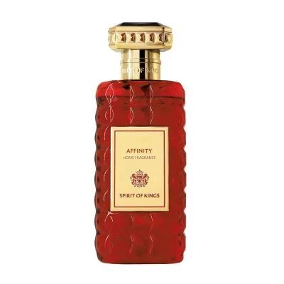 Spirit of kings Affinity Spray fragranza casa 250 ml