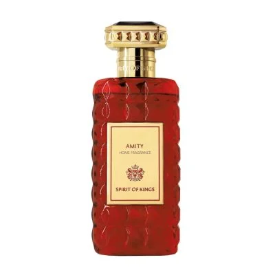 Spirit of kings Amity Spray fragranza casa 250 ml