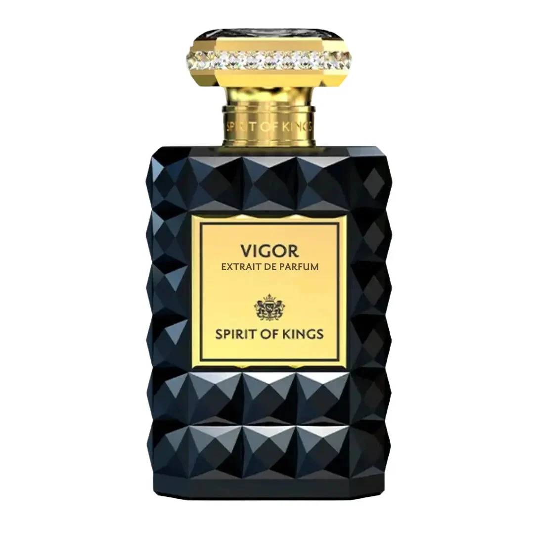 Spirit Of Kings Vigor Spirit Of Kings - 100 Ml