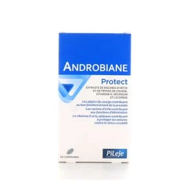 Androbiane Protect Caps 60