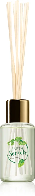 Ashleigh & Burwood London Earth Secrets Christmas Tree diffusore di aromi con ricarica 50 ml