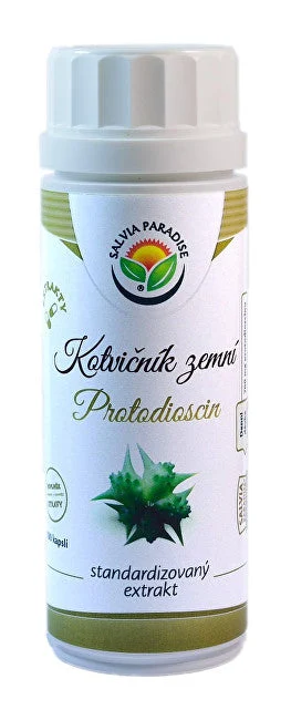 Salvia paradise Ancora - estratto DI protodioscina 100 capsule