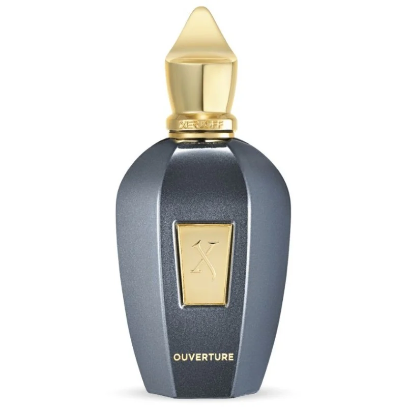 V OVERTURE 100ml