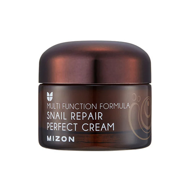 Mizon Crema viso con secrezione di lumaca filtrata 60% per pelli problematiche (Snail Repair Perfect Cream) 50 ml