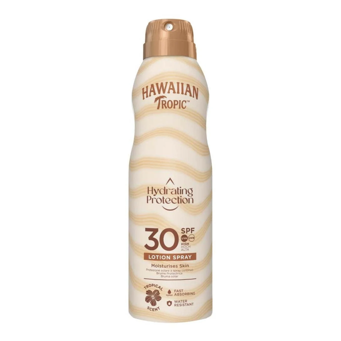 Hydrating Protection Can Spray SPF30