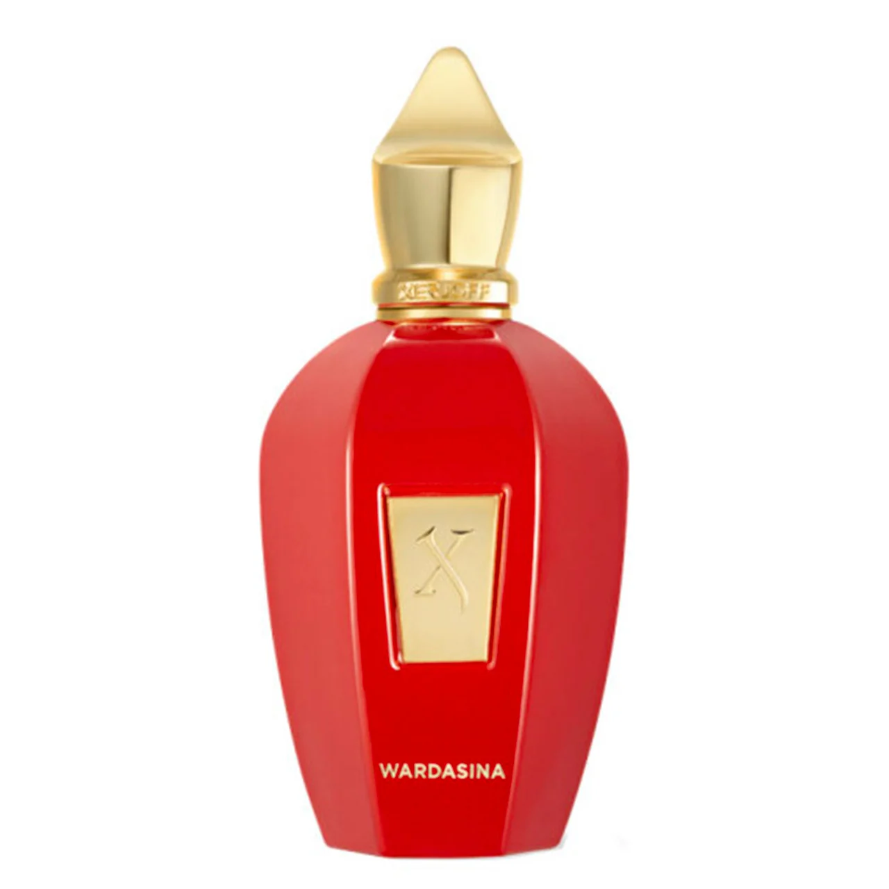 V WARDASINA 100ml