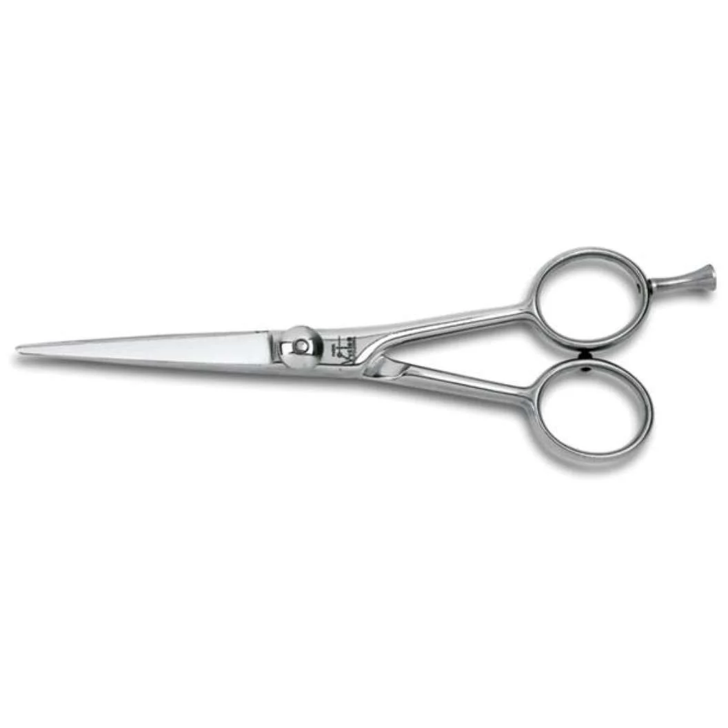 FORBICI PARRUCCHIERE ACCIAIO INOX 6″