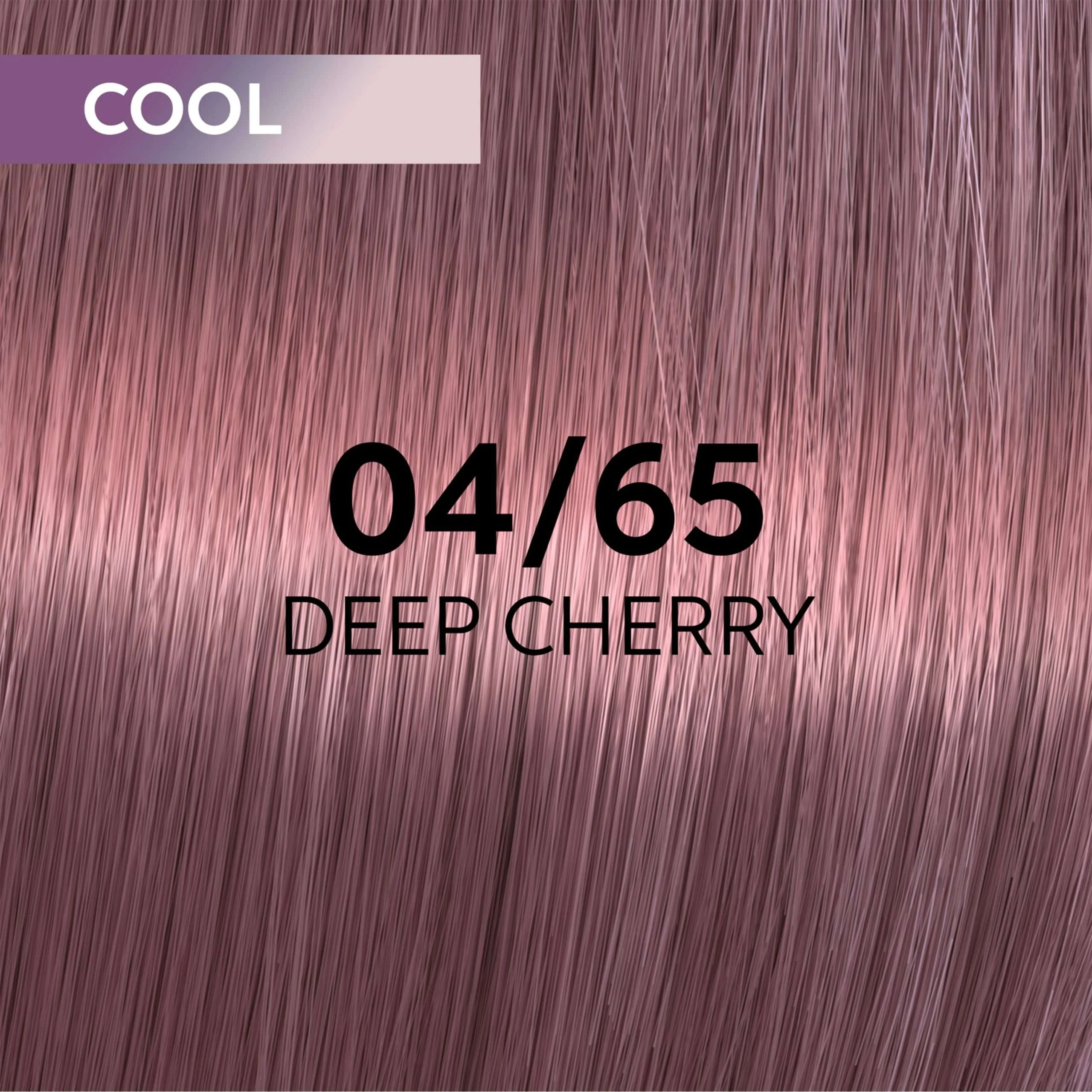 SHINEFINITY 60 ML. COL. 04/65 CASTANO MEDIO VIOLETTO MOGANO