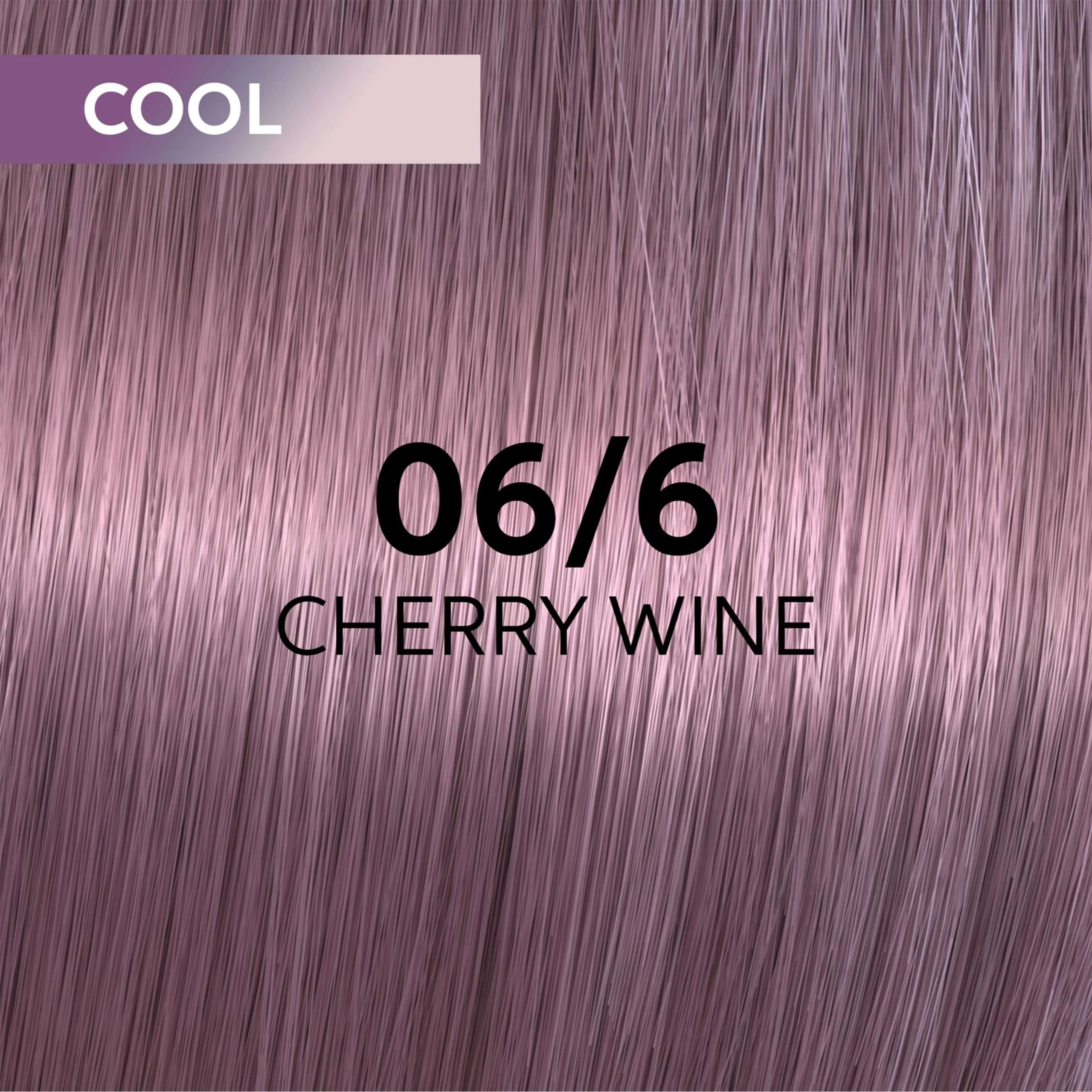 SHINEFINITY 60 ML. COL. 06/6 BIONDO SCURO VIOLETTO